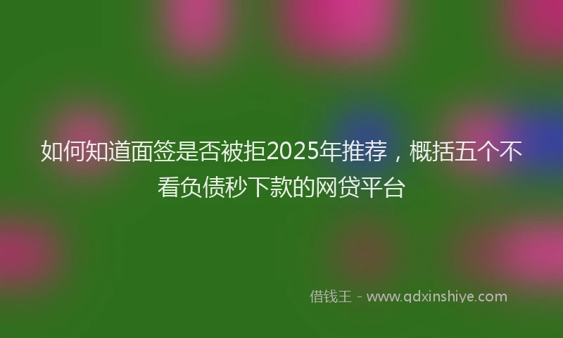 如何知道面签是否被拒2025年推荐，概括五个不看负债秒下款的网贷平台