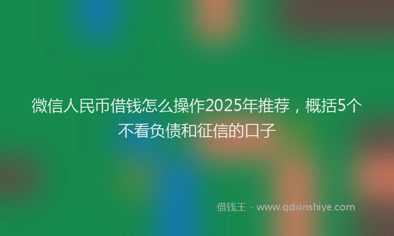 微信人民币借钱怎么操作2025年推荐，概括5个不看负债和征信的口子