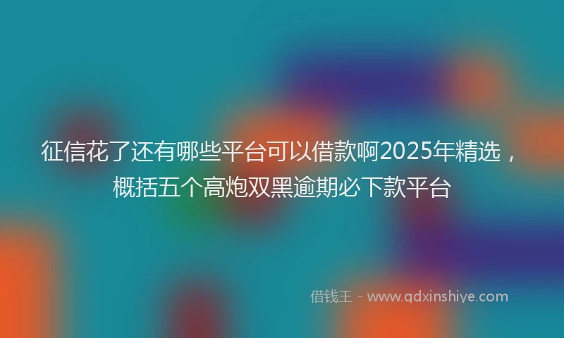 征信花了还有哪些平台可以借款啊2025年精选，概括五个高炮双黑逾期必下款平台