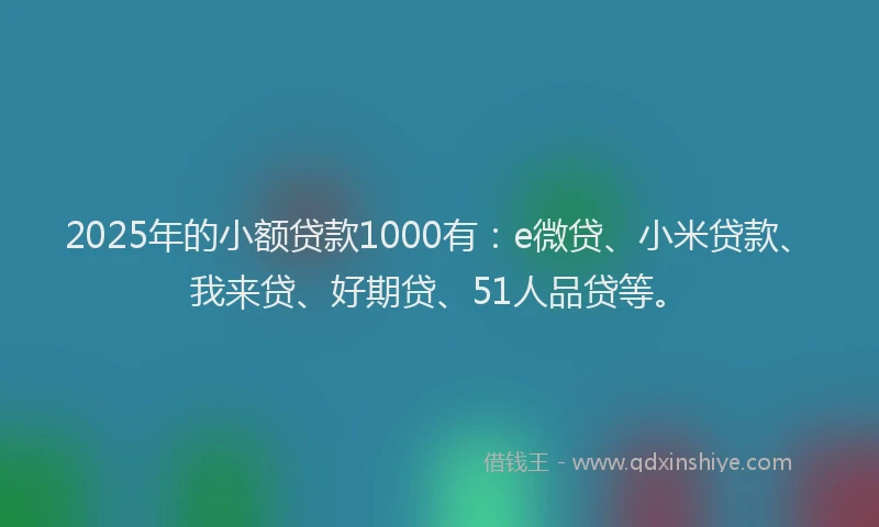 2025年的小额贷款1000有：e微贷、小米贷款、我来贷、好期贷、51人品贷等。