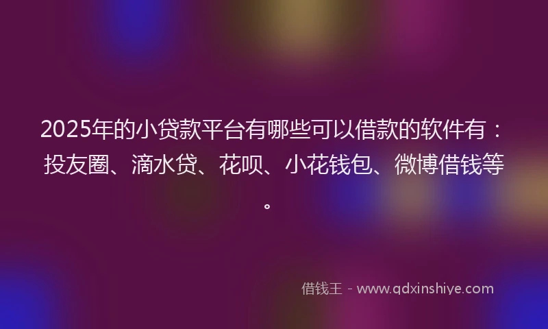 2025年的小贷款平台有哪些可以借款的软件有：投友圈、滴水贷、花呗、小花钱包、微博借钱等。