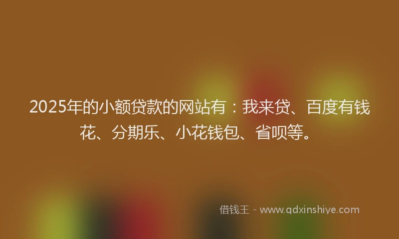 2025年的小额贷款的网站有：我来贷、百度有钱花、分期乐、小花钱包、省呗等。