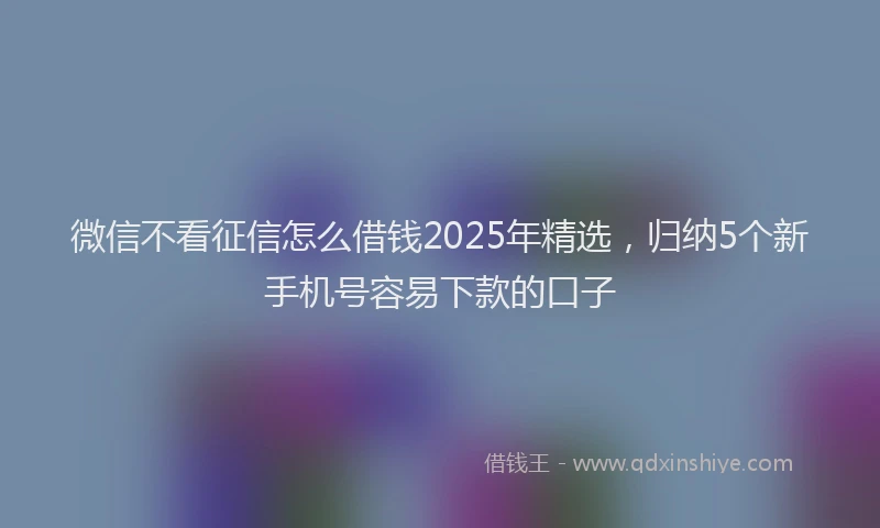 微信不看征信怎么借钱2025年精选，归纳5个新手机号容易下款的口子