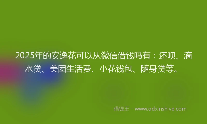 2025年的安逸花可以从微信借钱吗有：还呗、滴水贷、美团生活费、小花钱包、随身贷等。