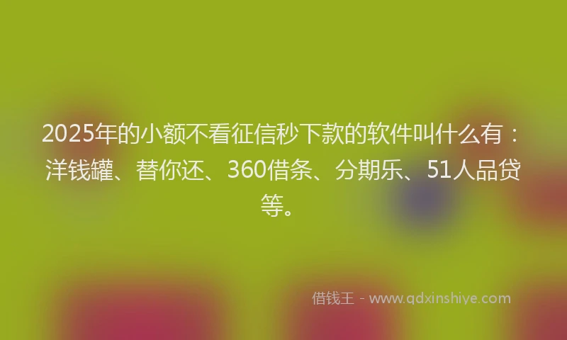 2025年的小额不看征信秒下款的软件叫什么有：洋钱罐、替你还、360借条、分期乐、51人品贷等。