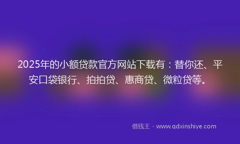 2025年的小额贷款官方网站下载有：替你还、平安口袋银行、拍拍贷、惠商贷、微粒贷等。