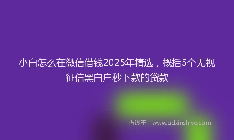 小白怎么在微信借钱2025年精选，概括5个无视征信黑白户秒下款的贷款