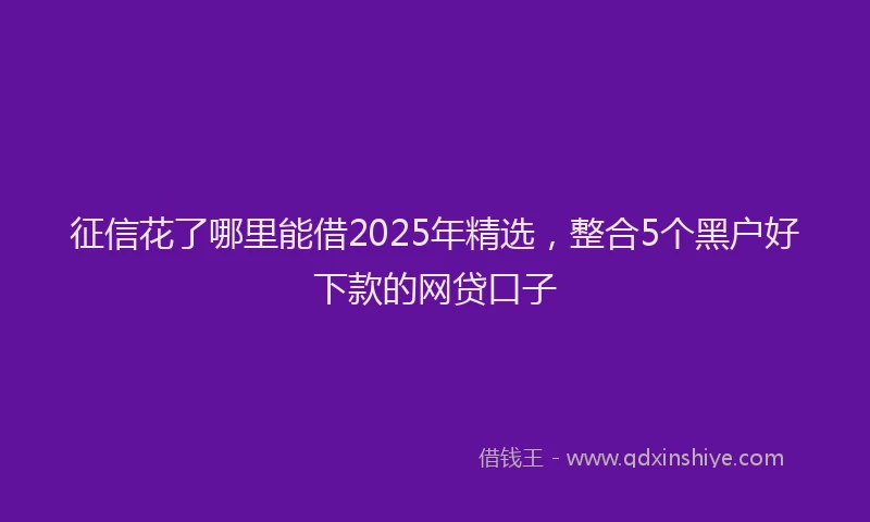 征信花了哪里能借2025年精选，整合5个黑户好下款的网贷口子