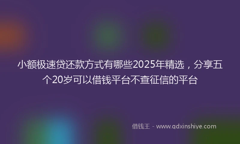 小额极速贷还款方式有哪些2025年精选，分享五个20岁可以借钱平台不查征信的平台