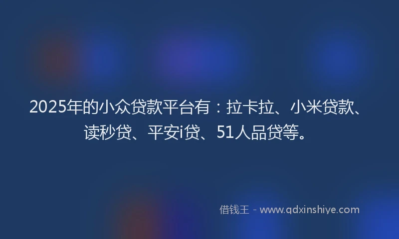 2025年的小众贷款平台有：拉卡拉、小米贷款、读秒贷、平安i贷、51人品贷等。