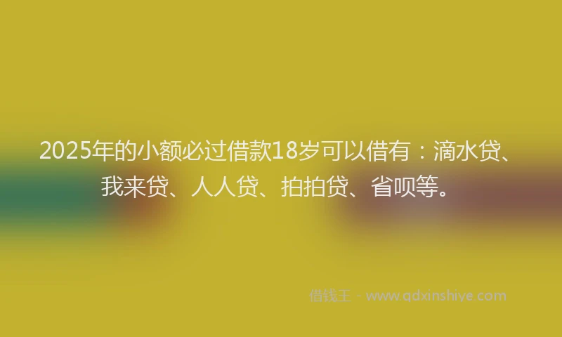 2025年的小额必过借款18岁可以借有：滴水贷、我来贷、人人贷、拍拍贷、省呗等。