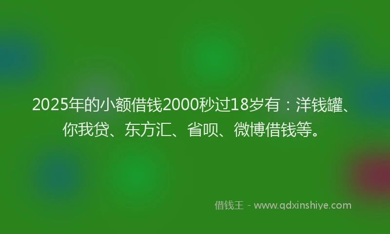 2025年的小额借钱2000秒过18岁有：洋钱罐、你我贷、东方汇、省呗、微博借钱等。