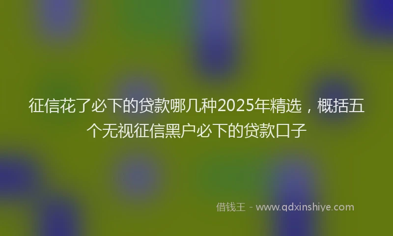 征信花了必下的贷款哪几种2025年精选，概括五个无视征信黑户必下的贷款口子