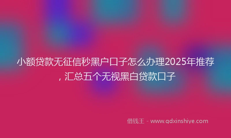 小额贷款无征信秒黑户口子怎么办理2025年推荐，汇总五个无视黑白贷款口子