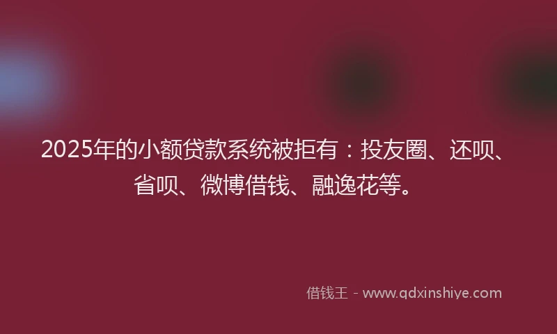 2025年的小额贷款系统被拒有：投友圈、还呗、省呗、微博借钱、融逸花等。