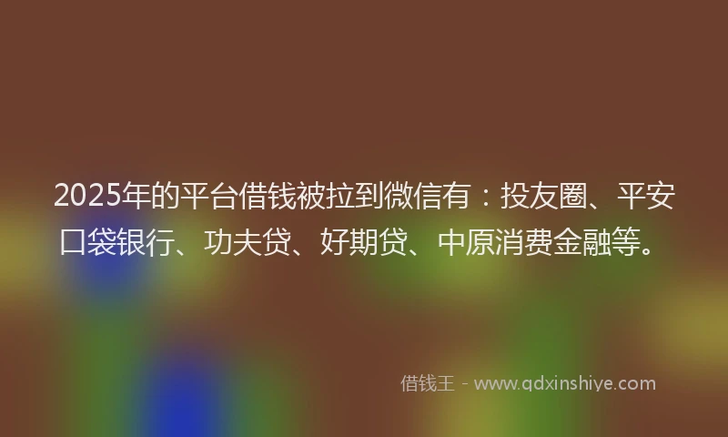 2025年的平台借钱被拉到微信有：投友圈、平安口袋银行、功夫贷、好期贷、中原消费金融等。