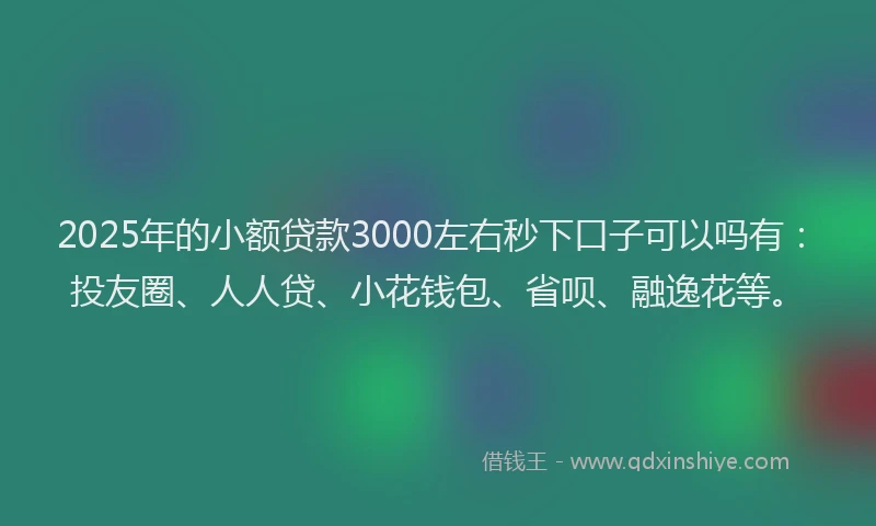 2025年的小额贷款3000左右秒下口子可以吗有：投友圈、人人贷、小花钱包、省呗、融逸花等。