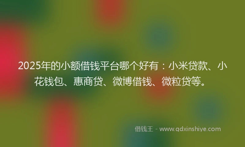 2025年的小额借钱平台哪个好有：小米贷款、小花钱包、惠商贷、微博借钱、微粒贷等。