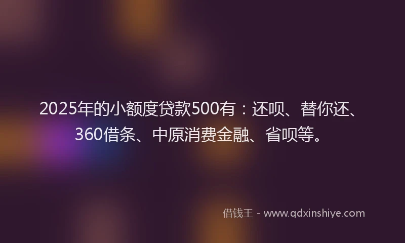 2025年的小额度贷款500有：还呗、替你还、360借条、中原消费金融、省呗等。