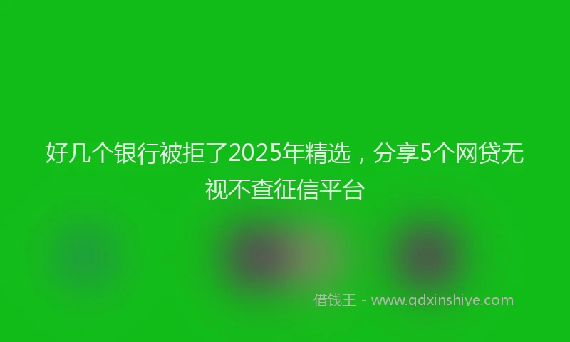 好几个银行被拒了2025年精选，分享5个网贷无视不查征信平台