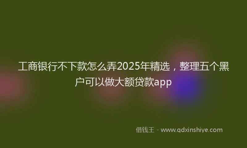 工商银行不下款怎么弄2025年精选，整理五个黑户可以做大额贷款app
