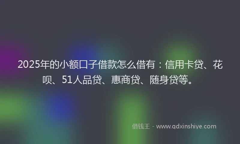 2025年的小额口子借款怎么借有：信用卡贷、花呗、51人品贷、惠商贷、随身贷等。
