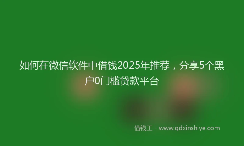 如何在微信软件中借钱2025年推荐，分享5个黑户0门槛贷款平台