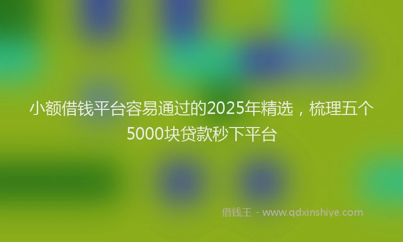 小额借钱平台容易通过的2025年精选，梳理五个5000块贷款秒下平台