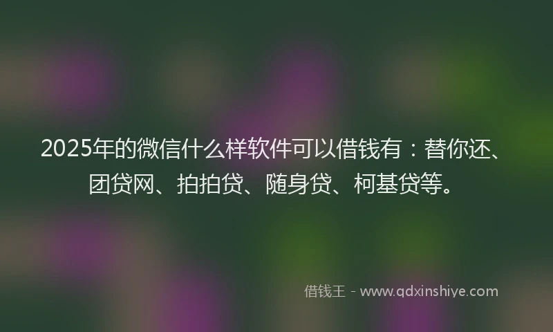 2025年的微信什么样软件可以借钱有：替你还、团贷网、拍拍贷、随身贷、柯基贷等。
