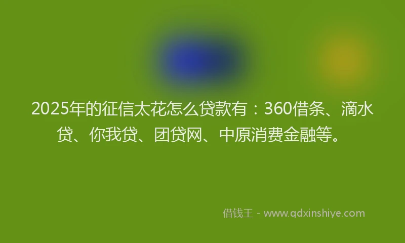 2025年的征信太花怎么贷款有：360借条、滴水贷、你我贷、团贷网、中原消费金融等。
