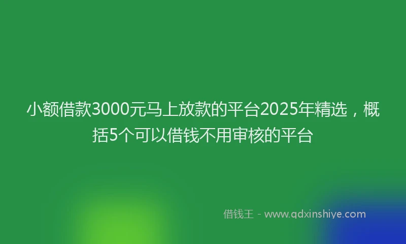 小额借款3000元马上放款的平台2025年精选，概括5个可以借钱不用审核的平台