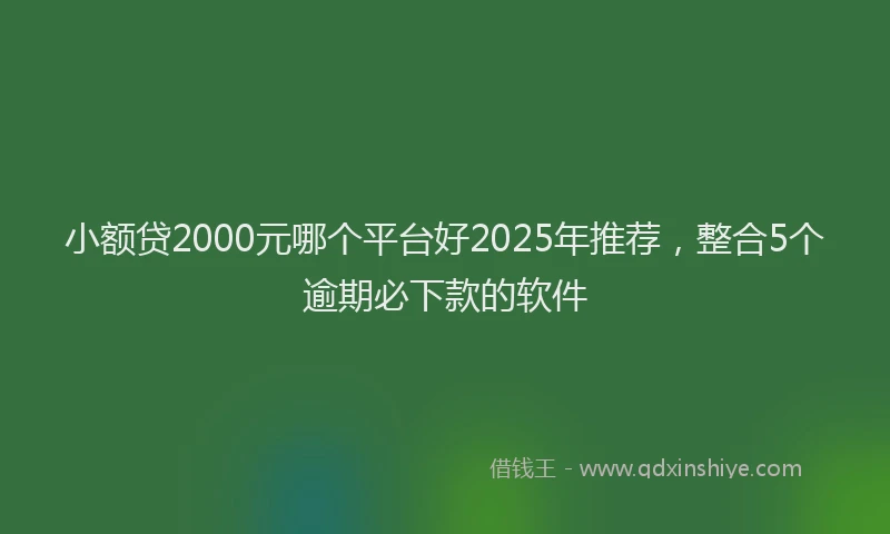 小额贷2000元哪个平台好2025年推荐，整合5个逾期必下款的软件