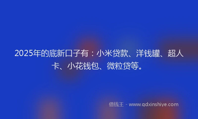 2025年的底新口子有：小米贷款、洋钱罐、超人卡、小花钱包、微粒贷等。