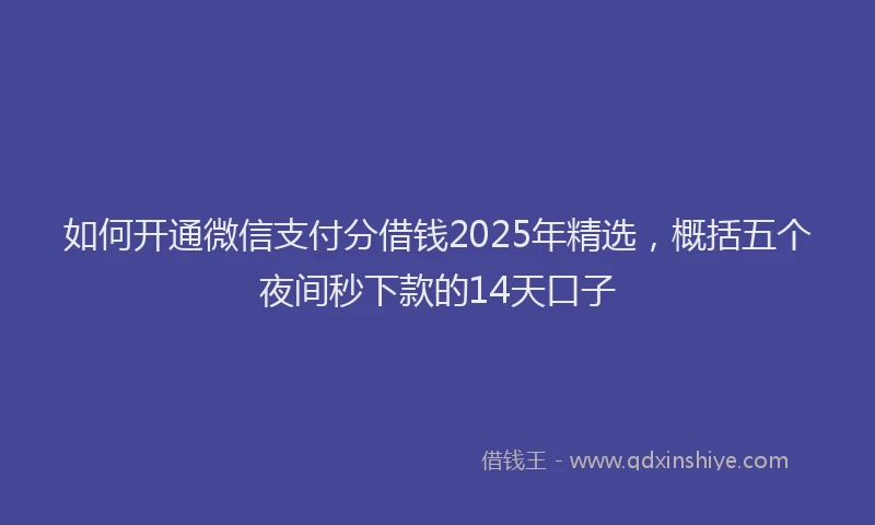 如何开通微信支付分借钱2025年精选，概括五个夜间秒下款的14天口子