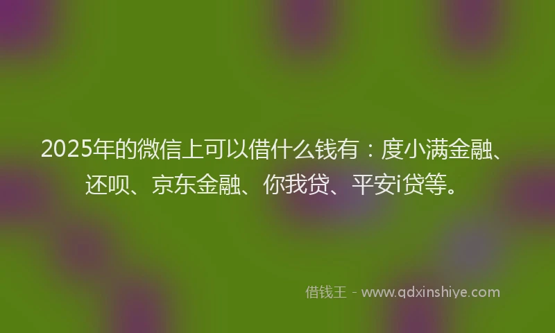 2025年的微信上可以借什么钱有：度小满金融、还呗、京东金融、你我贷、平安i贷等。