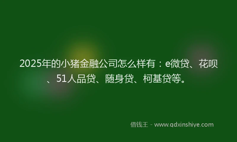 2025年的小猪金融公司怎么样有：e微贷、花呗、51人品贷、随身贷、柯基贷等。
