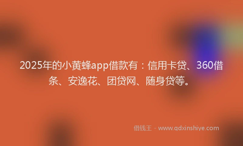 2025年的小黄蜂app借款有：信用卡贷、360借条、安逸花、团贷网、随身贷等。