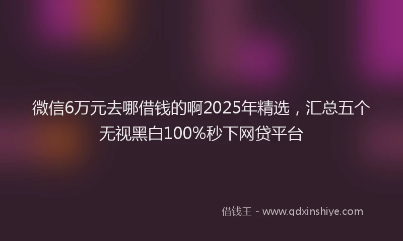 微信6万元去哪借钱的啊2025年精选，汇总五个无视黑白100%秒下网贷平台