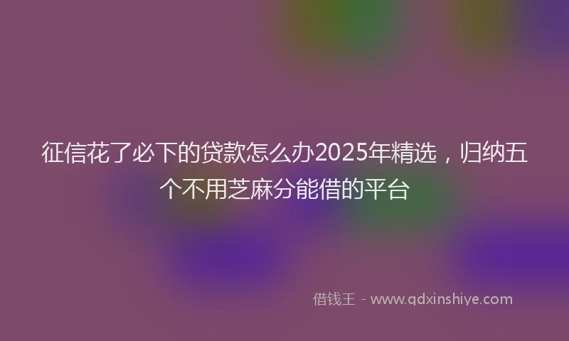 征信花了必下的贷款怎么办2025年精选，归纳五个不用芝麻分能借的平台