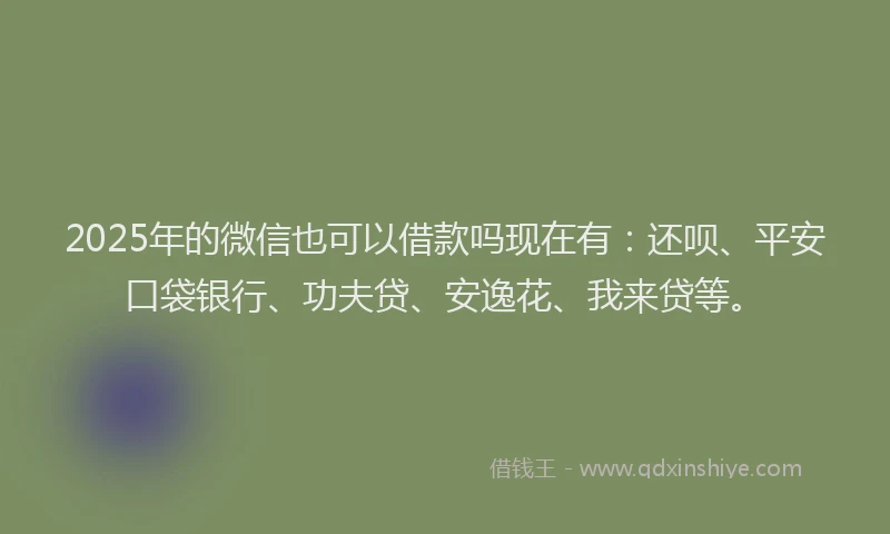 2025年的微信也可以借款吗现在有：还呗、平安口袋银行、功夫贷、安逸花、我来贷等。