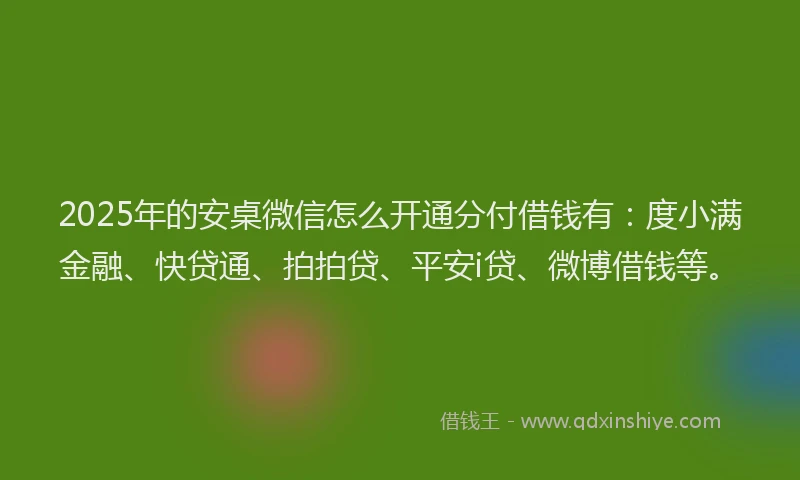 2025年的安桌微信怎么开通分付借钱有：度小满金融、快贷通、拍拍贷、平安i贷、微博借钱等。