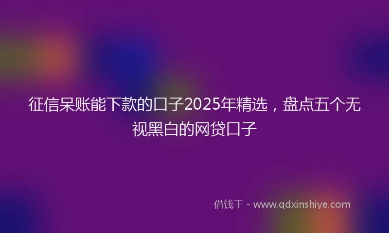 征信呆账能下款的口子2025年精选，盘点五个无视黑白的网贷口子