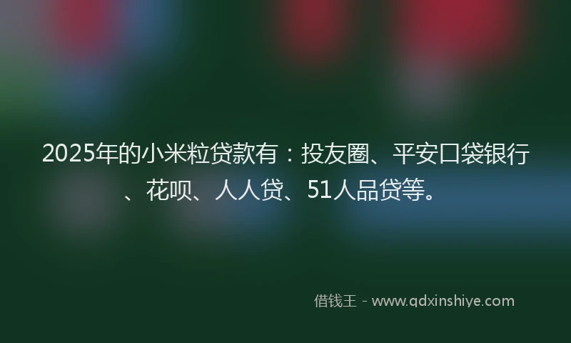 2025年的小米粒贷款有：投友圈、平安口袋银行、花呗、人人贷、51人品贷等。
