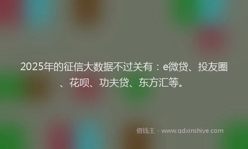 2025年的征信大数据不过关有：e微贷、投友圈、花呗、功夫贷、东方汇等。
