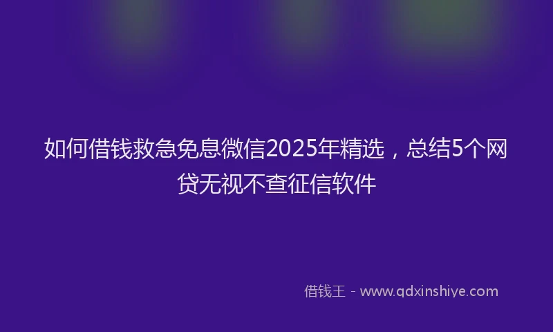 如何借钱救急免息微信2025年精选，总结5个网贷无视不查征信软件