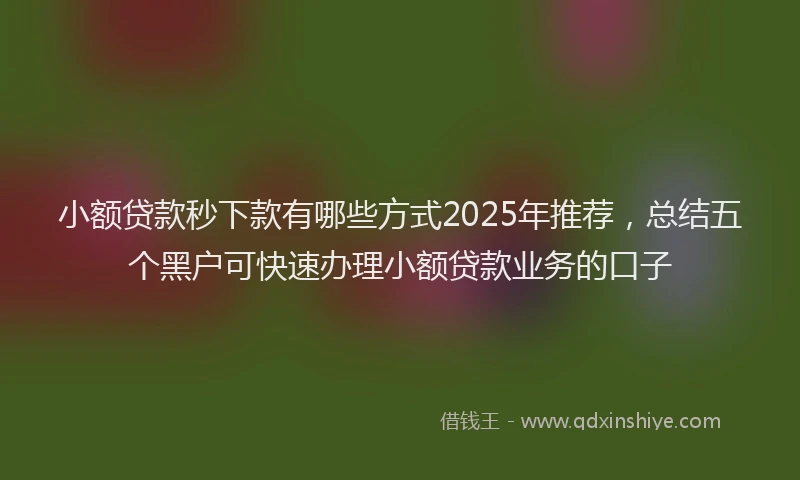 小额贷款秒下款有哪些方式2025年推荐，总结五个黑户可快速办理小额贷款业务的口子