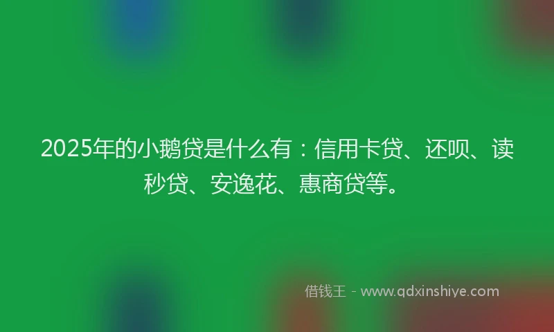 2025年的小鹅贷是什么有：信用卡贷、还呗、读秒贷、安逸花、惠商贷等。