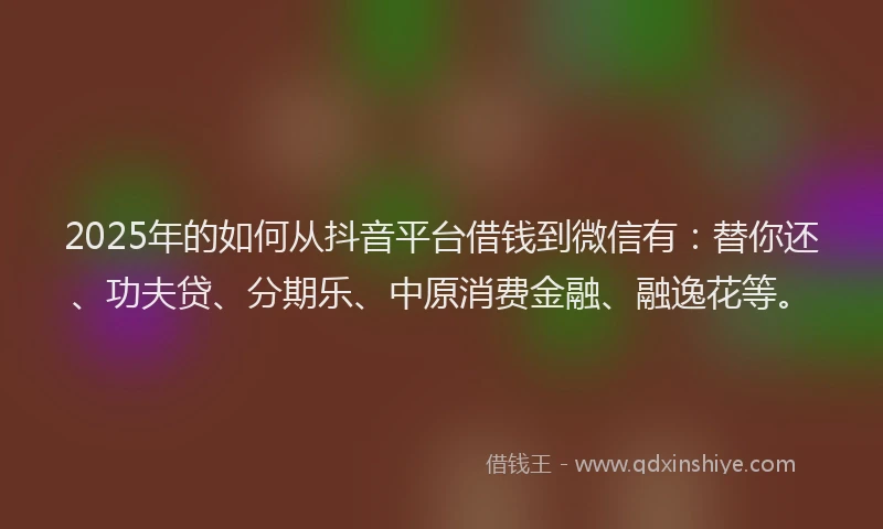 2025年的如何从抖音平台借钱到微信有:替你还、功夫贷、分期乐、中原消费金融、融逸花等。