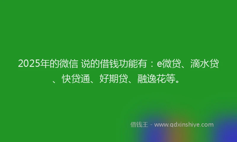 2025年的微信 说的借钱功能有：e微贷、滴水贷、快贷通、好期贷、融逸花等。