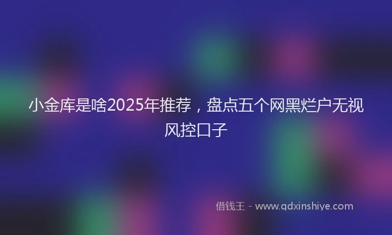 小金库是啥2025年推荐，盘点五个网黑烂户无视风控口子